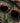 Everest Walnut Carbon RX Women Wooden Sunglasses